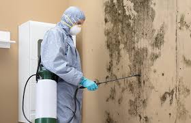 Best HVAC Mold Inspection and Cleaning in USA